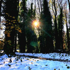 Parkwood Springs